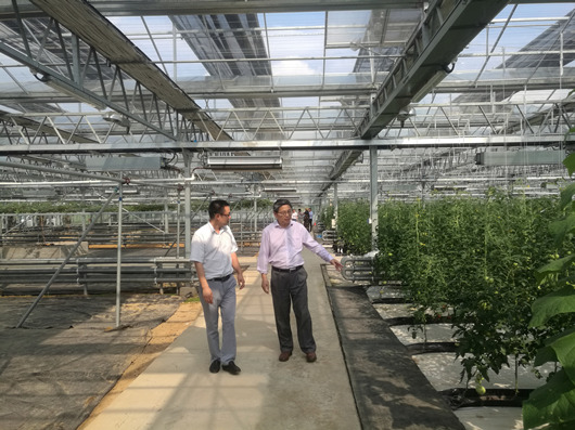 我院院長(zhǎng)李文輝赴南京白馬高新區(qū)調(diào)研