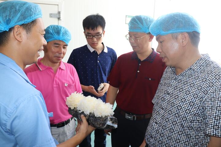 “湘軍故里,鋼鐵新城”我院助力婁底市開(kāi)啟創(chuàng)新發(fā)展新篇章