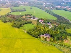 智慧園區(qū)規(guī)劃 | 產(chǎn)業(yè)園區(qū)該如何應(yīng)對突發(fā)公共事件？