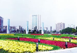 揚州開發區立足“三優”促轉型