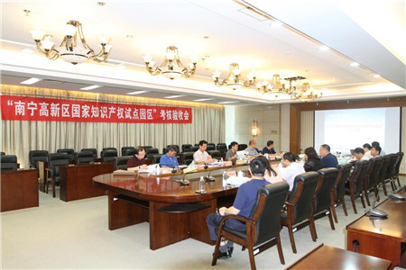 南寧高新區順利通過＂國家知識產權試點園區＂考核驗收