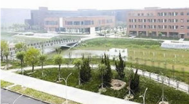 南寧經(jīng)開(kāi)區(qū)：全力服務(wù)推動(dòng)臨空經(jīng)濟(jì)示范區(qū)創(chuàng)建