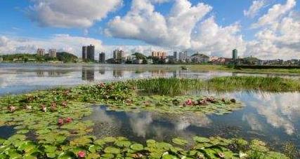 安順經(jīng)開(kāi)區(qū)：政策推動(dòng) 產(chǎn)業(yè)帶動(dòng) 鄉(xiāng)村旅游旺起來(lái)