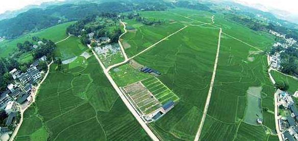 大健康事業(yè)是國(guó)家趨勢(shì)，現(xiàn)今走在前面的人，將是未來(lái)的主角！