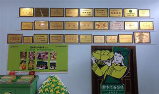 “芒果百色，香飄百地” 國內首家芒果精深加工特色產業基地申報進行時