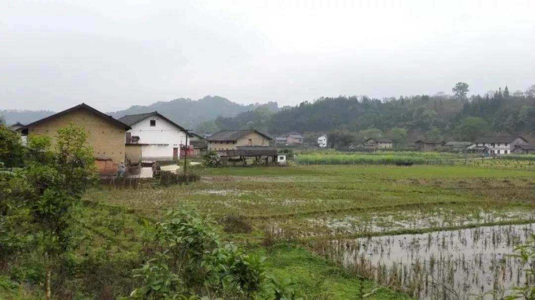 農(nóng)村土地確權(quán)結(jié)束，沒登記的四荒地如何處理？