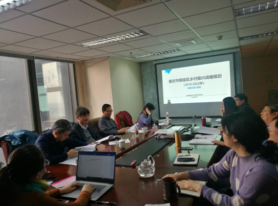 問(wèn)診專家，繪制龍鄉(xiāng)銅梁鄉(xiāng)村振興新藍(lán)圖