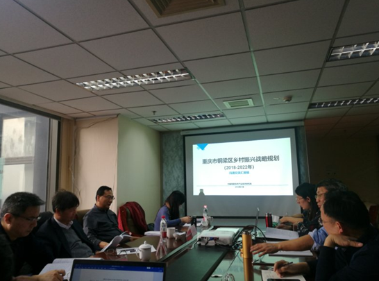 問(wèn)診專家，繪制龍鄉(xiāng)銅梁鄉(xiāng)村振興新藍(lán)圖