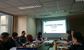 問診專家，繪制龍鄉銅梁鄉村振興新藍圖