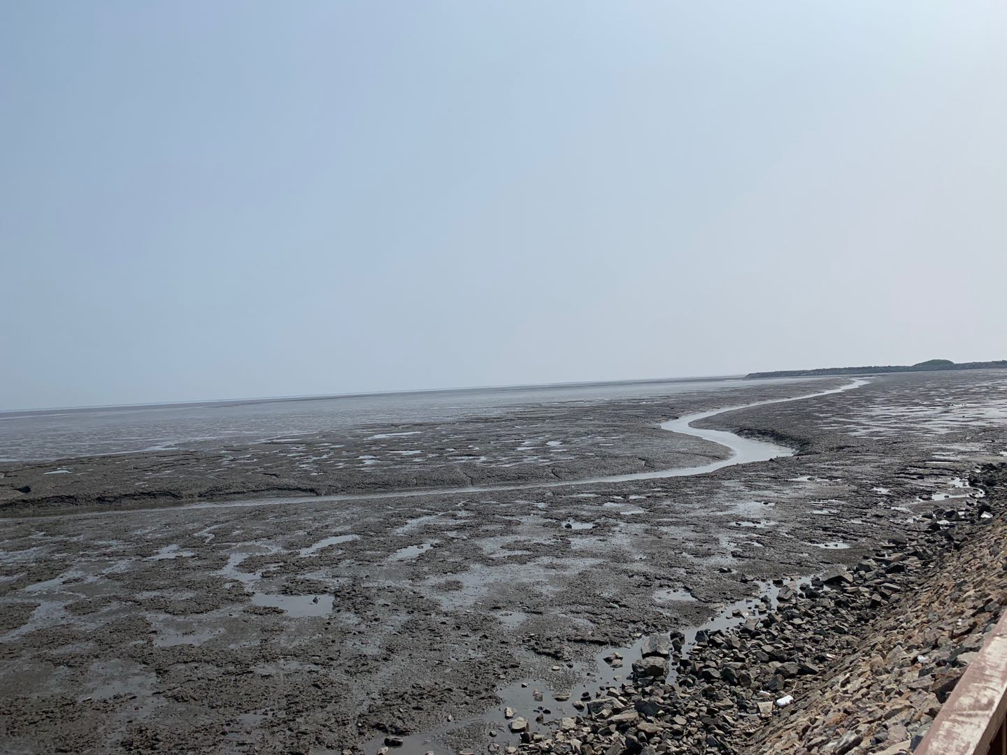 依托貝類優(yōu)勢，遼寧省東港市積極創(chuàng)建省級現(xiàn)代農業(yè)產業(yè)園