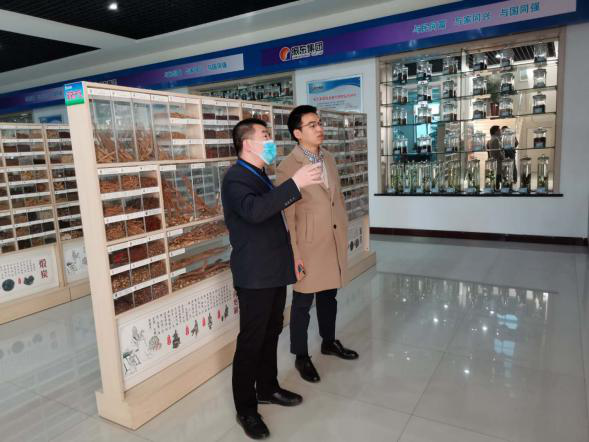 依托潞黨參和連翹兩大優(yōu)質(zhì)特色中藥材，平順縣向國家現(xiàn)代農(nóng)業(yè)產(chǎn)業(yè)園邁進