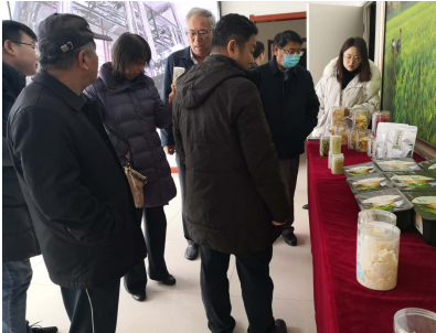 借力專家智慧，云州區蹄疾步穩邁向國家現代農業產業園