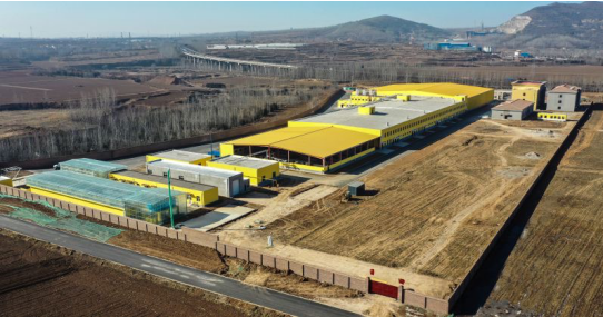 錦繡“五彩農(nóng)業(yè)”，高平市爭創(chuàng)國家 現(xiàn)代農(nóng)業(yè)產(chǎn)業(yè)園吹響集結(jié)號