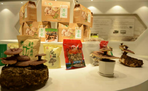 依托蘋(píng)果和香菇兩大特色優(yōu)勢(shì)產(chǎn)業(yè)，萬(wàn)榮縣積極申創(chuàng)國(guó)家農(nóng)業(yè)現(xiàn)代化示范區(qū)