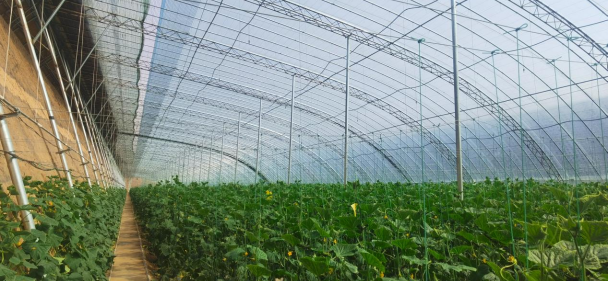 我院助力山西省曲沃縣創建國家現代農業產業園