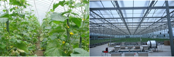 高新院再創佳績，又一國家現代農業產業園誕生在三晉大地