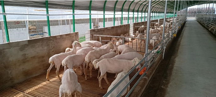 高新院再創佳績，又一國家現代農業產業園誕生在三晉大地